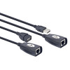 Gembird USB 1.1 extender (max 30m-ig, UTP-vel)
